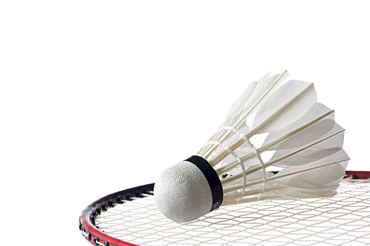 参考点更集 参考点更集